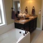 Rochester - Master Bath